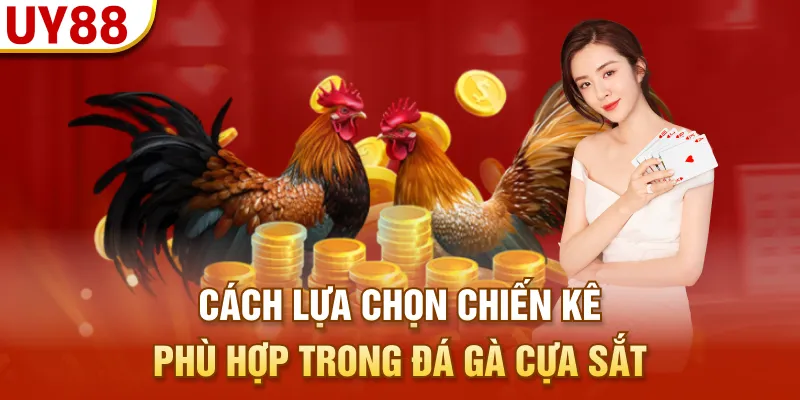 Cách lựa chọn chiến kê phù hợp trong đá gà cựa sắt